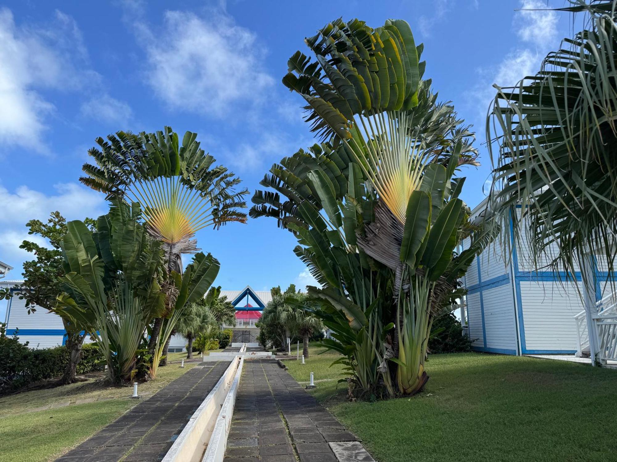 Ticarbets T3 - Residence Manganao - En Bord De Plage Saint-Francois  Kültér fotó